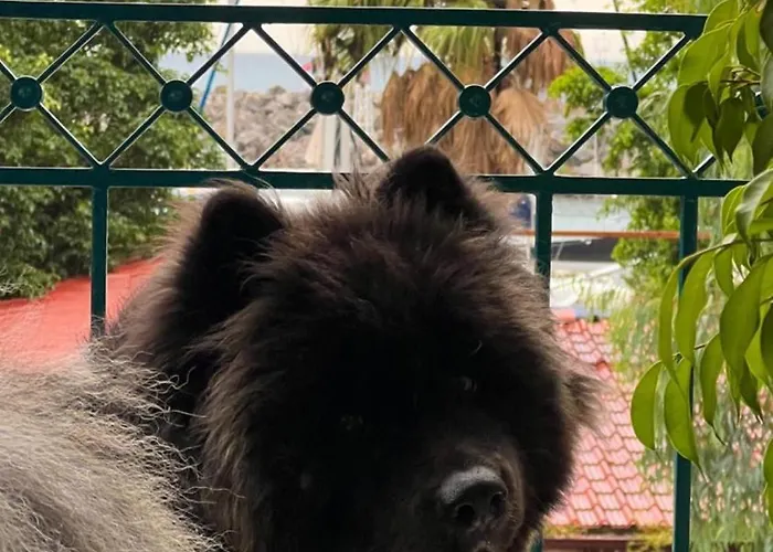 Dream Apartment-marina's Port * קלמאטה