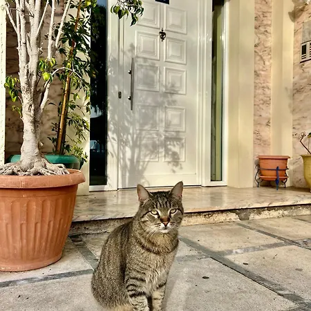 Apartment Dream Apartment-marina's Port *