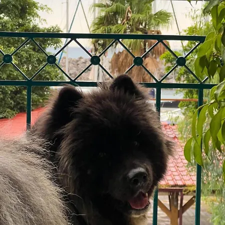 Dream Apartment-marina's Port * Kalamata