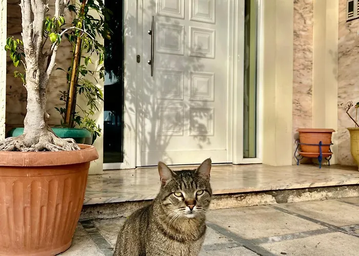 Lejlighed Dream Apartment-marina's Port *